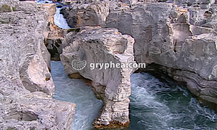 La dissolution des roches dans la nature - extrait - gryphea.com